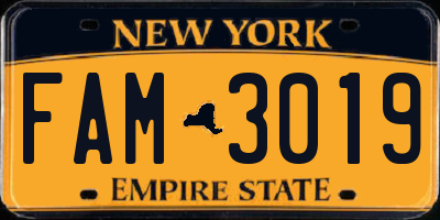 NY license plate FAM3019