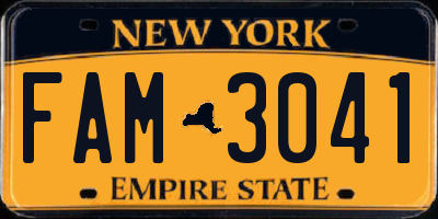 NY license plate FAM3041