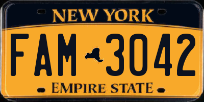 NY license plate FAM3042