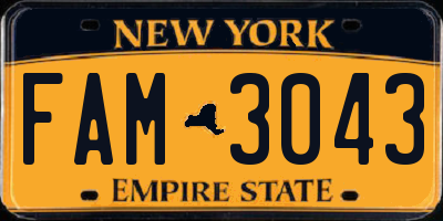 NY license plate FAM3043