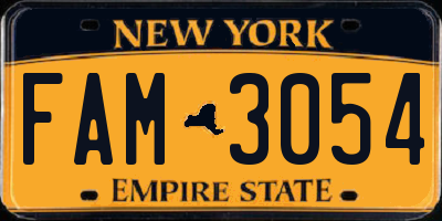NY license plate FAM3054