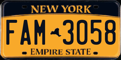 NY license plate FAM3058