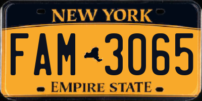 NY license plate FAM3065