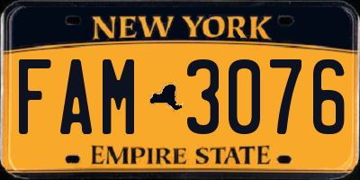 NY license plate FAM3076