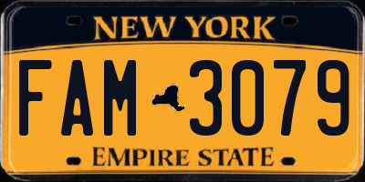 NY license plate FAM3079