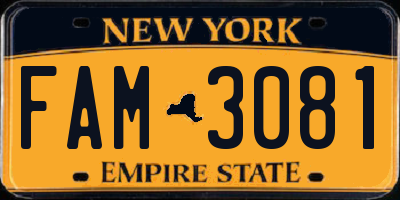 NY license plate FAM3081