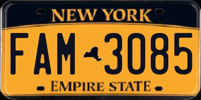 NY license plate FAM3085