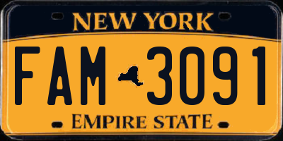 NY license plate FAM3091