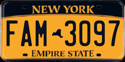 NY license plate FAM3097