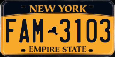 NY license plate FAM3103