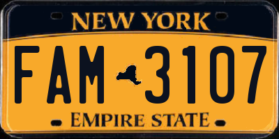 NY license plate FAM3107