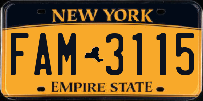 NY license plate FAM3115