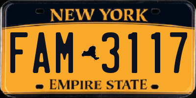 NY license plate FAM3117