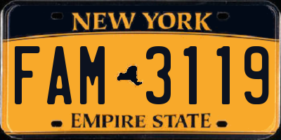 NY license plate FAM3119