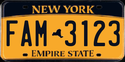 NY license plate FAM3123