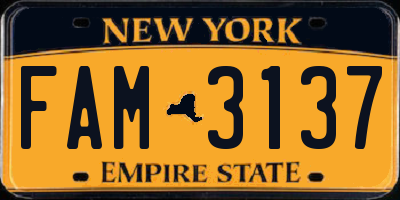 NY license plate FAM3137
