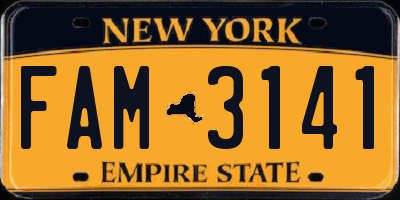 NY license plate FAM3141