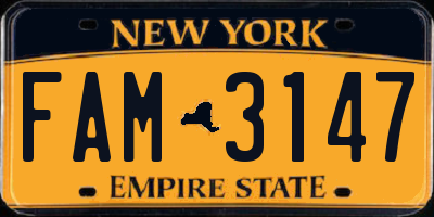 NY license plate FAM3147