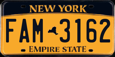 NY license plate FAM3162