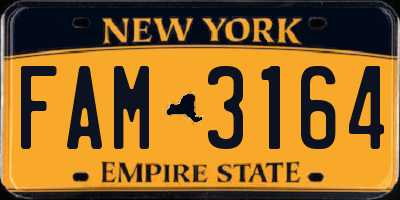 NY license plate FAM3164