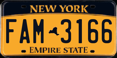 NY license plate FAM3166