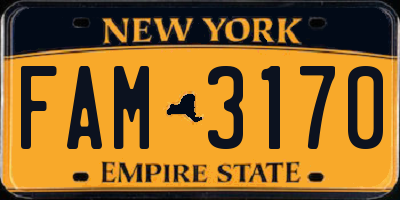 NY license plate FAM3170
