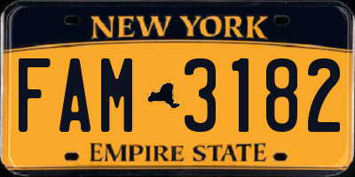 NY license plate FAM3182
