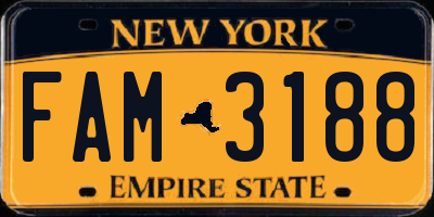 NY license plate FAM3188