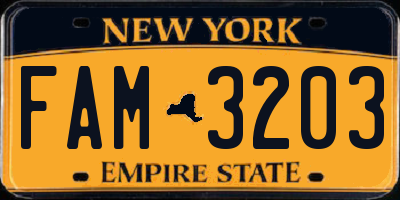 NY license plate FAM3203
