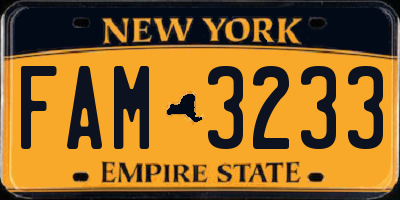 NY license plate FAM3233