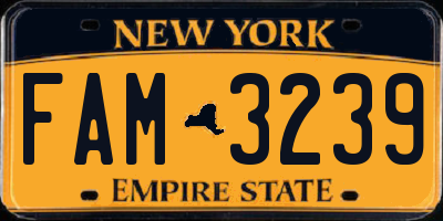 NY license plate FAM3239