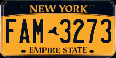NY license plate FAM3273