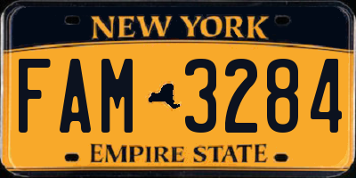 NY license plate FAM3284