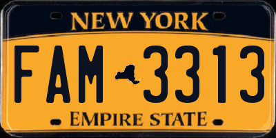 NY license plate FAM3313