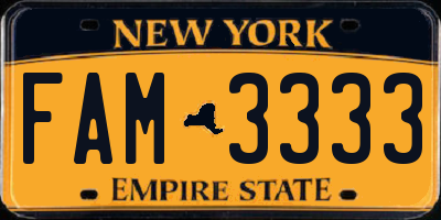 NY license plate FAM3333