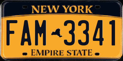 NY license plate FAM3341