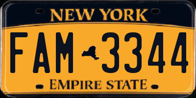 NY license plate FAM3344