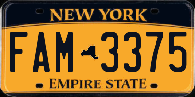 NY license plate FAM3375