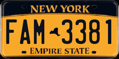 NY license plate FAM3381