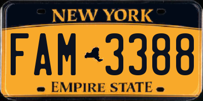 NY license plate FAM3388