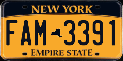 NY license plate FAM3391