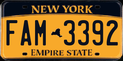 NY license plate FAM3392