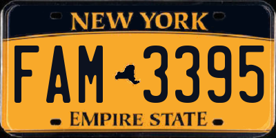 NY license plate FAM3395
