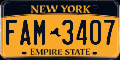 NY license plate FAM3407