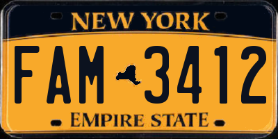NY license plate FAM3412