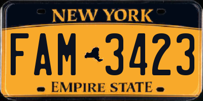NY license plate FAM3423