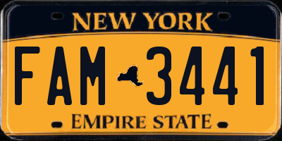 NY license plate FAM3441