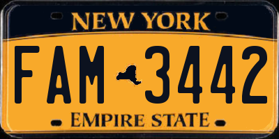 NY license plate FAM3442