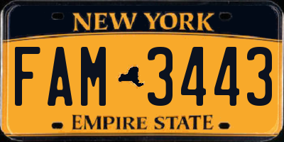 NY license plate FAM3443