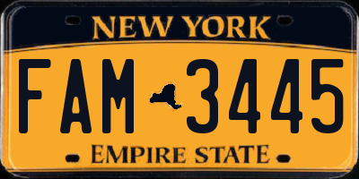 NY license plate FAM3445